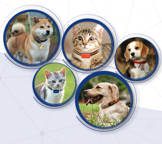 GPS Tracker on a vehicle